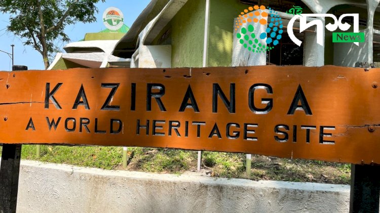 ৰাজ্যৰ বন বিভাগত ৰদ বদল : কাজিৰঙালৈ নতুন বনাঞ্চলিক বিষয়া : ড০ বিভুতি ৰঞ্জন গগৈ, বিবিদ দিহিঙীয়া আৰু বিদ্যুত বিকাশ বৰাৰ সহকাৰী বনসংৰক্ষকলৈ পদোন্নতি :