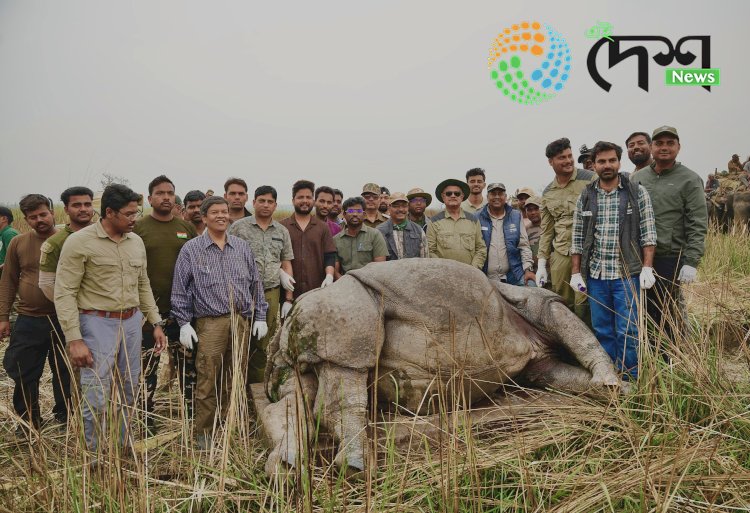 সংৰক্ষণৰ বিশেষ পদক্ষেপ : দুধৱা ব্যাঘ্ৰ সংৰক্ষিত বনাঞ্চলত চাৰিটা গঁড়ক বনাঞ্চলত মুকলি :