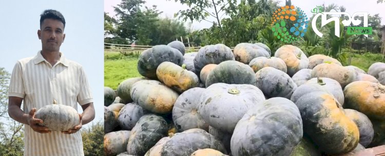 বৰ্হিৰাষ্ট্ৰ নেপালৰ লগতে পশ্চিম বংগ, ত্ৰিপুৰা, দিল্লীলৈ বোকাখাত সমজিলাৰ চহলা পথাৰৰ ৰঙালাউ : পুৰ্বৰ কৃষিবৰ্ষতকৈ লাভান্বিত হৈছে কৃষক :