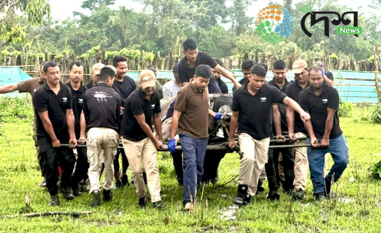 Four Asiatic Wild Buffaloes from Kaziranga National Park reached Kanha Tiger Reserve of Madhya Pradesh for rehabilitation :