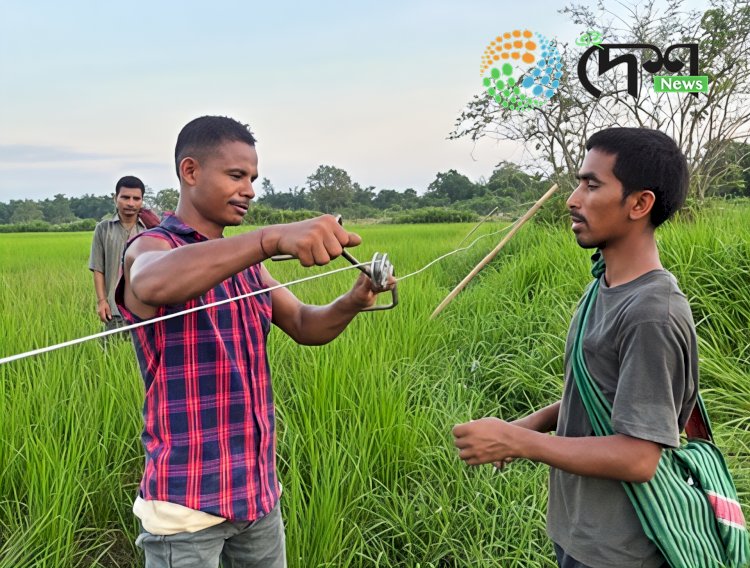 সৌৰশক্তি চালিত বেৰাই অসম মেঘালয়ৰ পাঁচ খন জিলাৰ গাঁওবাসীৰ শস্য আৰু সম্পত্তিৰ লগতে জীৱনৰো নিৰাপত্তা প্ৰদান কৰিছে :