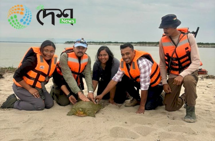 India’s first satellite-tagged Ganges softshell turtle released at Kaziranga National and Tiger Reserve.
